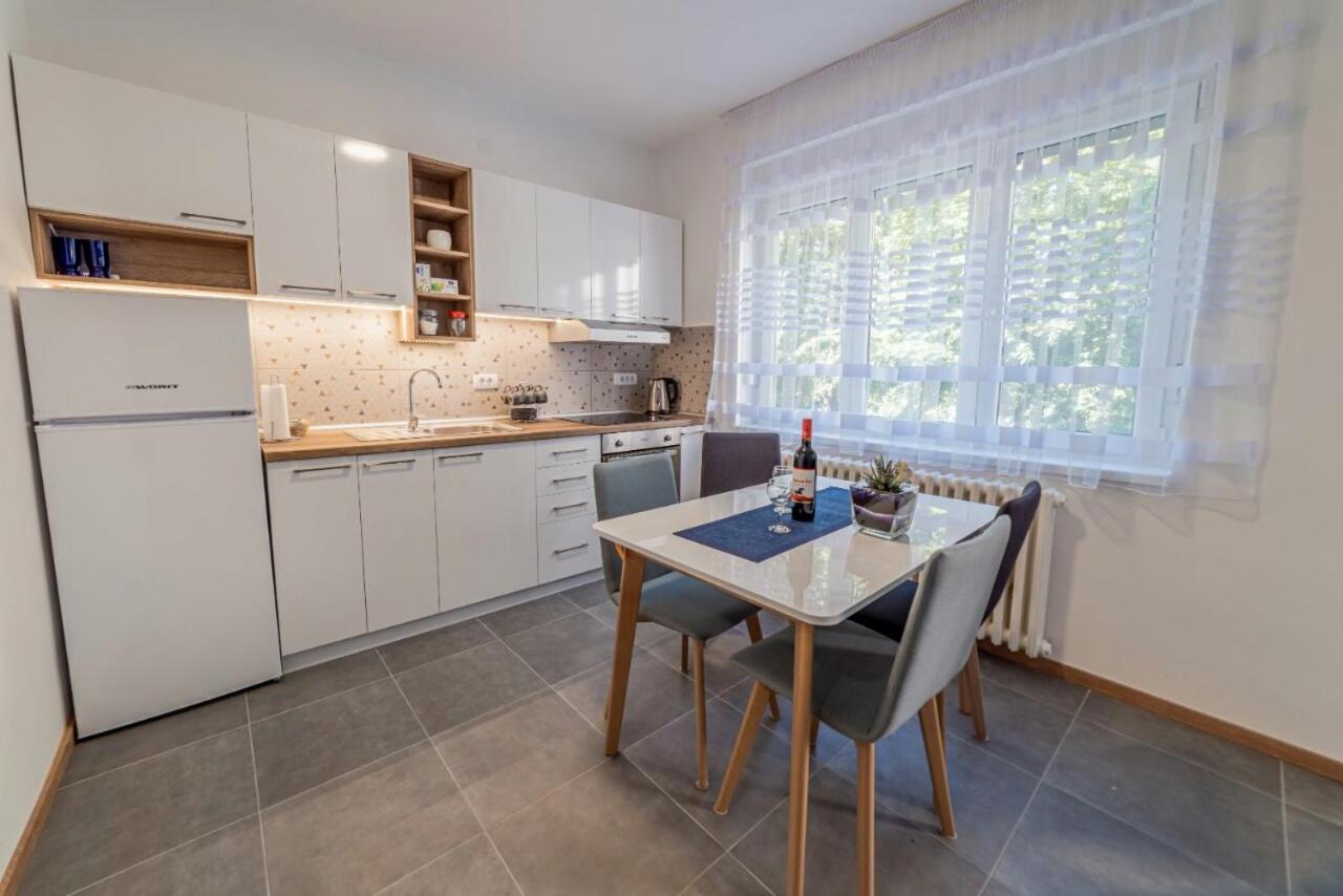 Apartman Danube Lux Novi Sad Extérieur photo